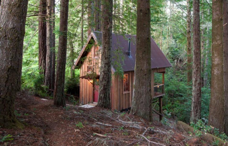 Treehouse in Albion, California 2 guests1 bedroom1 bed1 bath-1