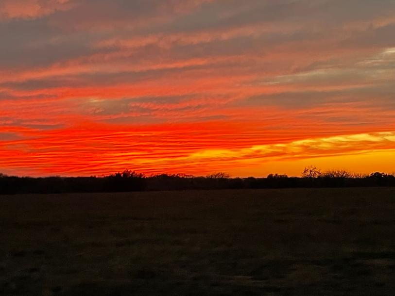 Entire cabin in Weimar, Texas 4 guests1 bedroom2 beds1 bath-2