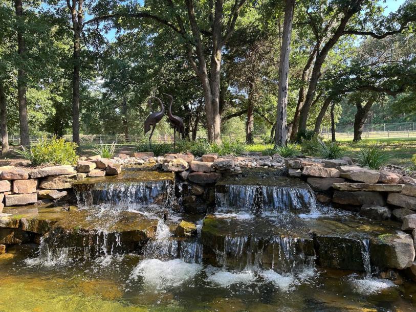 Entire cabin in Athens, Texas 2 guests1 bedroom1 bed1 bath-12