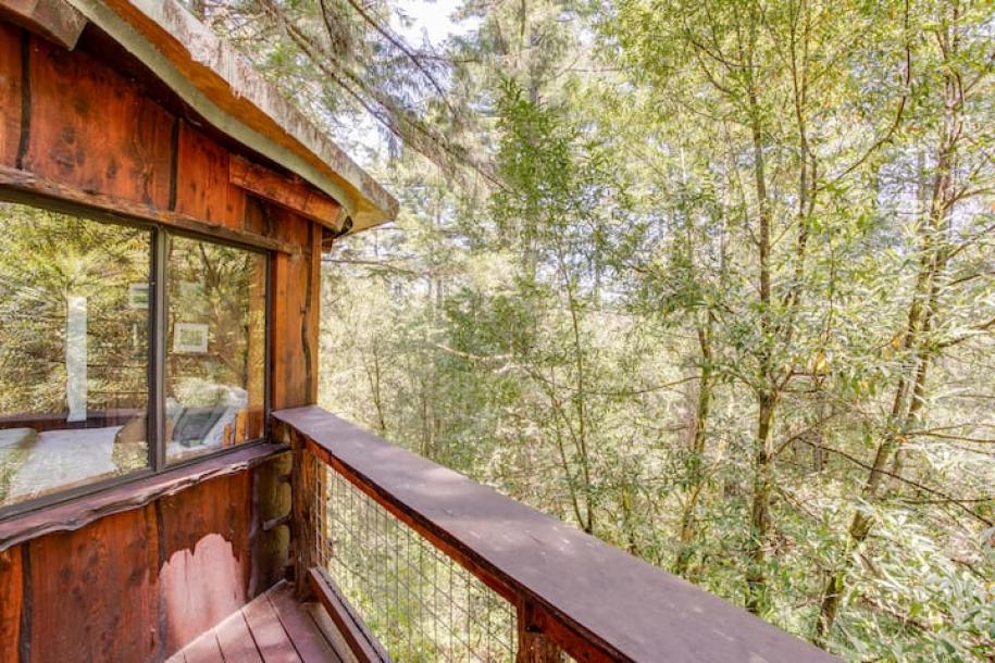 Treehouse in Bodega Bay, California 2 guests1 bedroom1 bed1 bath-8