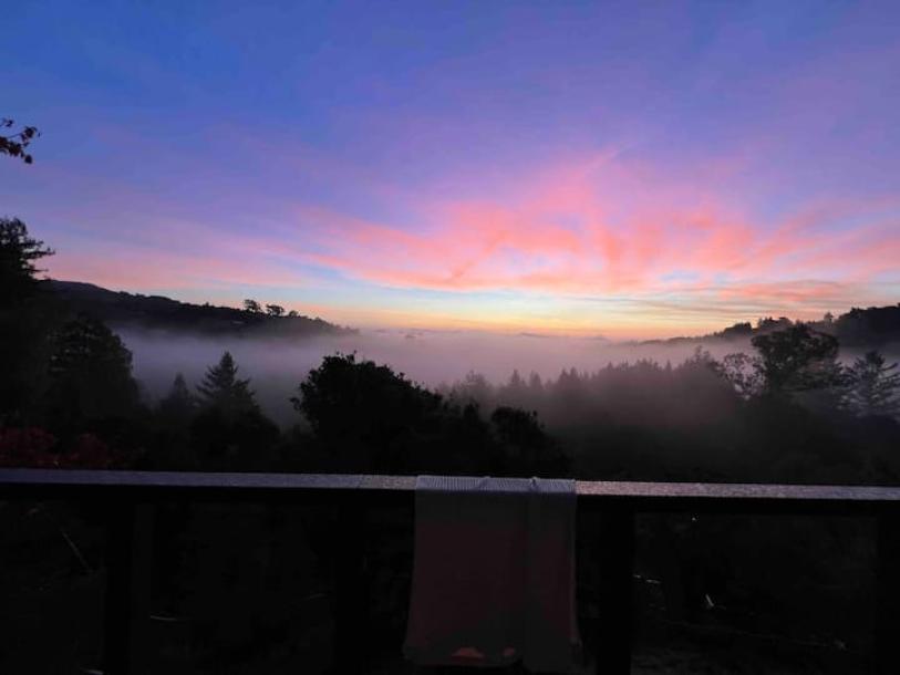 Entire guest suite in Mill Valley, California 2 guests1 bedroom1 bed1 bath-10