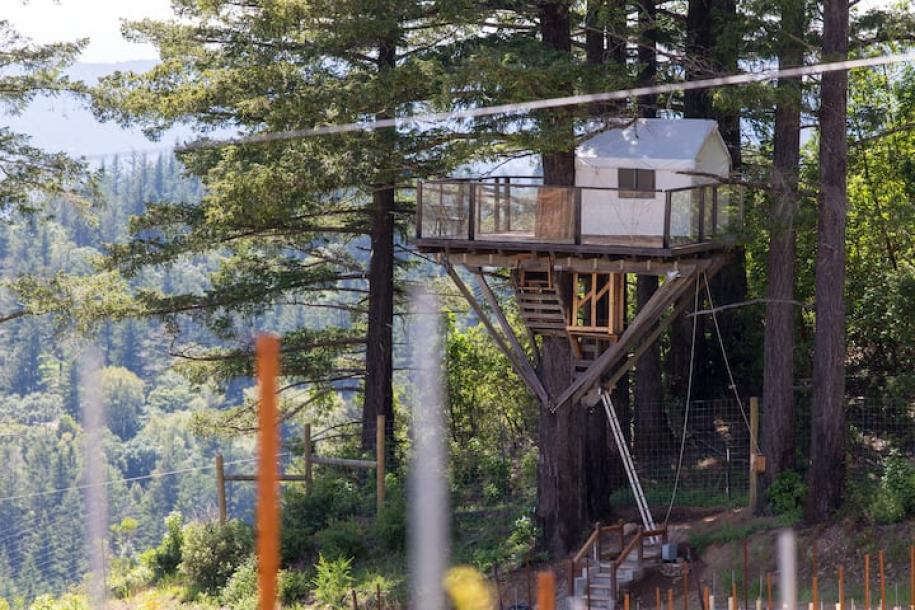 Private room in treehouse in Los Gatos, California 2 guests1 bedroom1 bed1 private bath-10