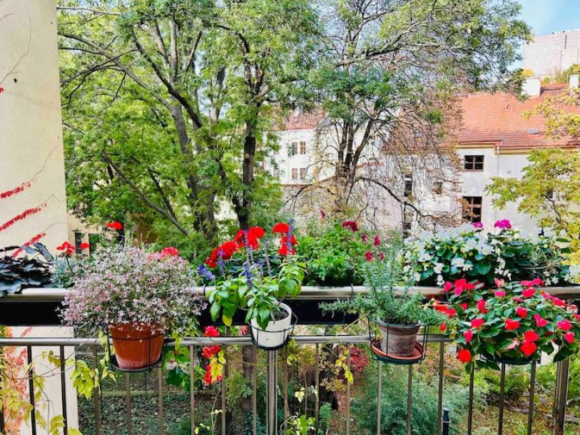 Entire condo in Praha 3, Czechia 2 guests1 bedroom1 bed1 bath-5