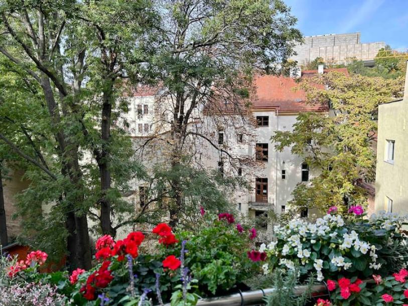 Entire condo in Praha 3, Czechia 2 guests1 bedroom1 bed1 bath-4