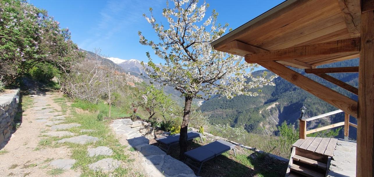 Entire cabin in Venanson, France 2 guestsStudio1 bed1 bath-10