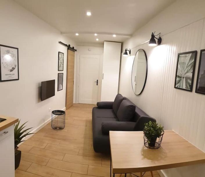 Entire rental unit in Montpellier, France 2 guestsStudio1 bed1 bath-14