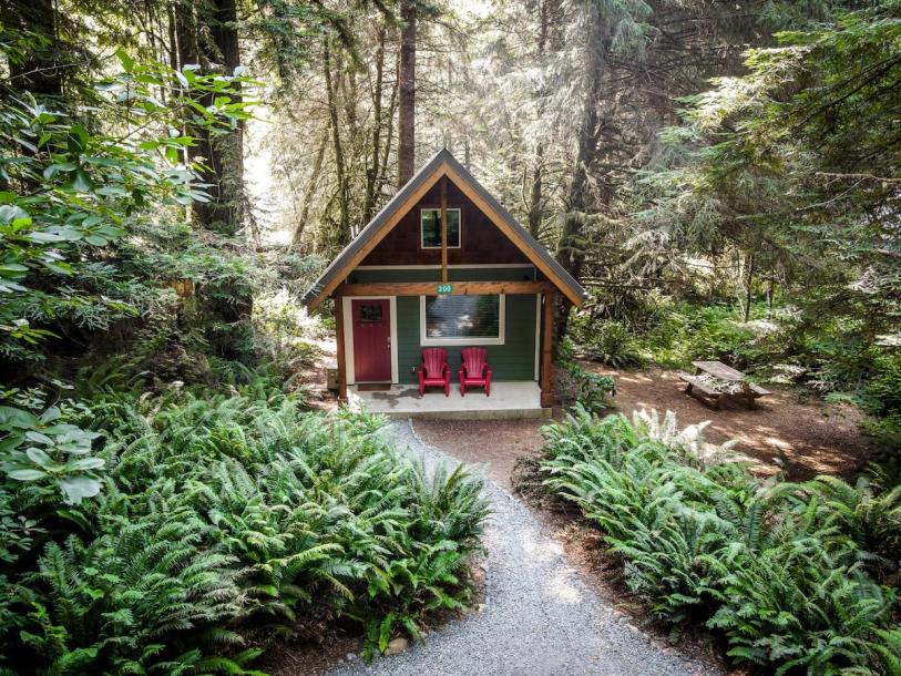 Entire cabin in Crescent City, California 4 guests1 bedroom1 bed1 bath-0