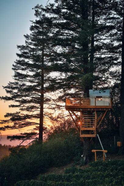 Private room in treehouse in Los Gatos, California 2 guests1 bedroom1 bed1 private bath-1