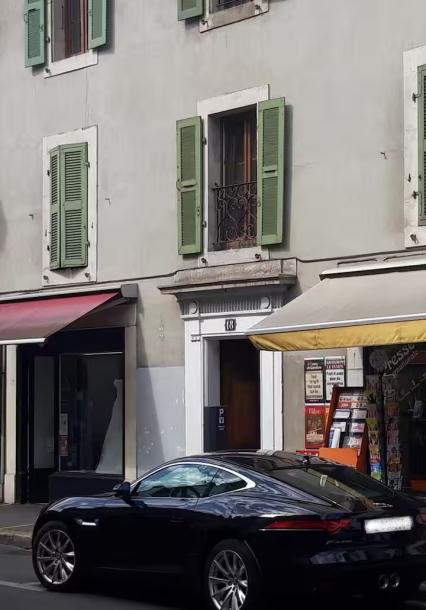 Charming studio in the old town of Carouge switzerland-6