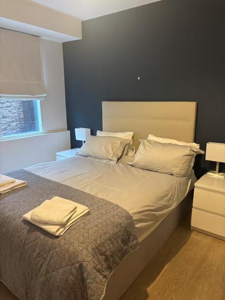 Fab 3 Beds 2 Bathroom Apartment Grand Canal Dock-16